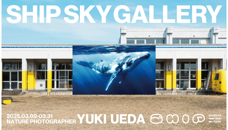 SHIP SKY GALLERY の楽しみ方
