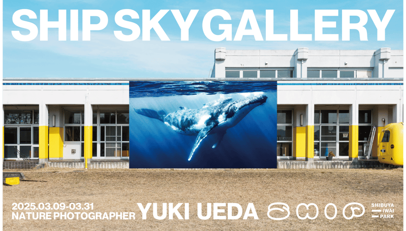 Nature Photographer “上田優紀” の作品を屋外に展示する「SHIP SKY GALLERY 青空動物写真展」を開催。